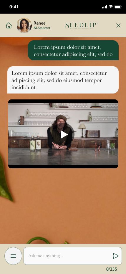 Embedded video message in the chat